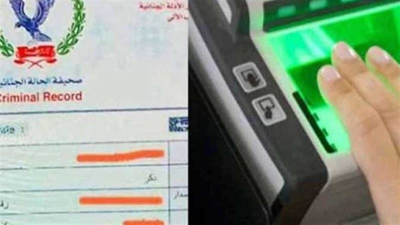 رابط استخراج الفيش والتشبيه أونلاين 2025
