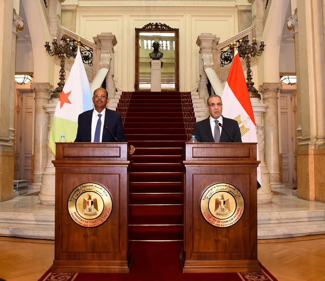وزير الخارجية يبحث مع نظيره بجيبوتى الأوضاع الإقليمية بالقرن الإفريقي والبحر الأحمر