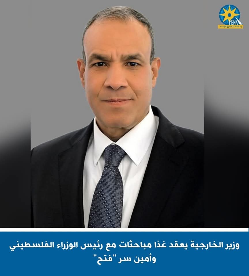 مصر ترفض أى طرح أو تصور يستهدف تصفية القضية الفلسطينية من خلال التهجير