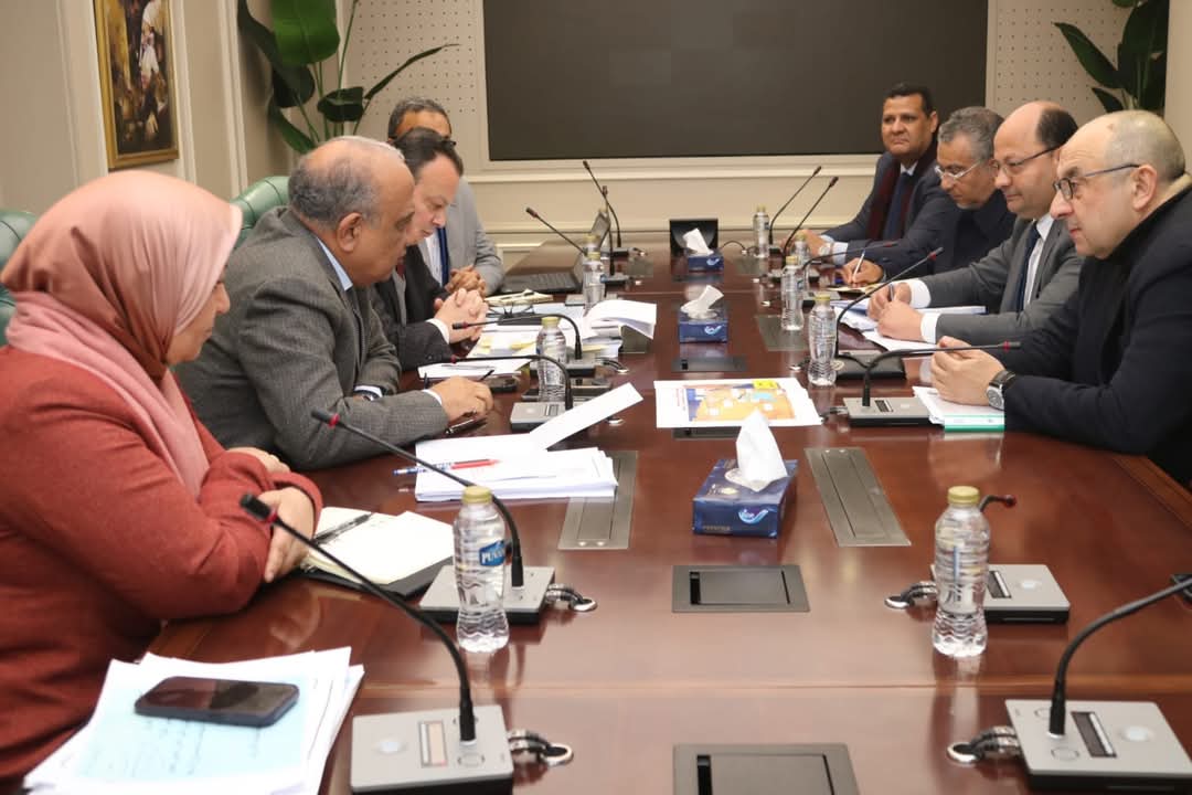 وزيرا الكهرباء وقطاع الأعمال يبحثان التعاون فى مجال الطاقة المتجددة والتحول الأخضر