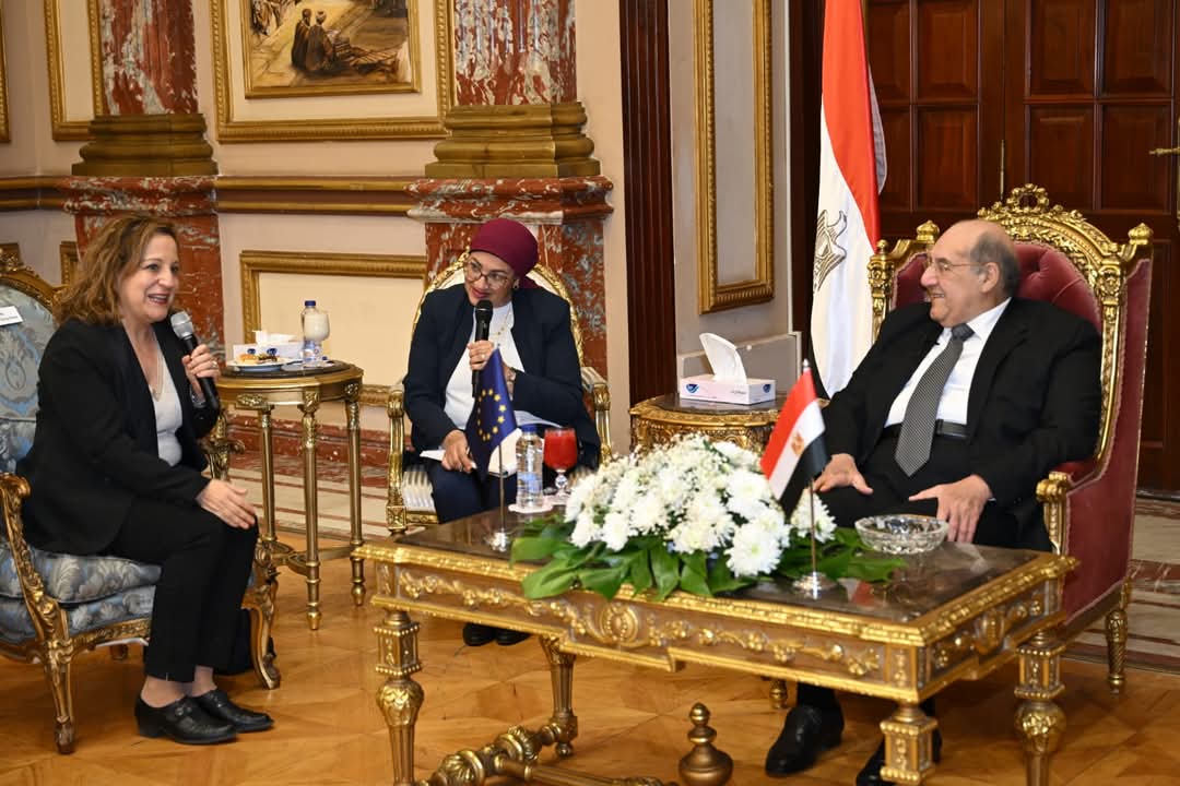 رئيس مجلس الشيوخ يؤكد أهمية تعزيز الجهود لاستعادة الأمن والسلم الإقليمي
