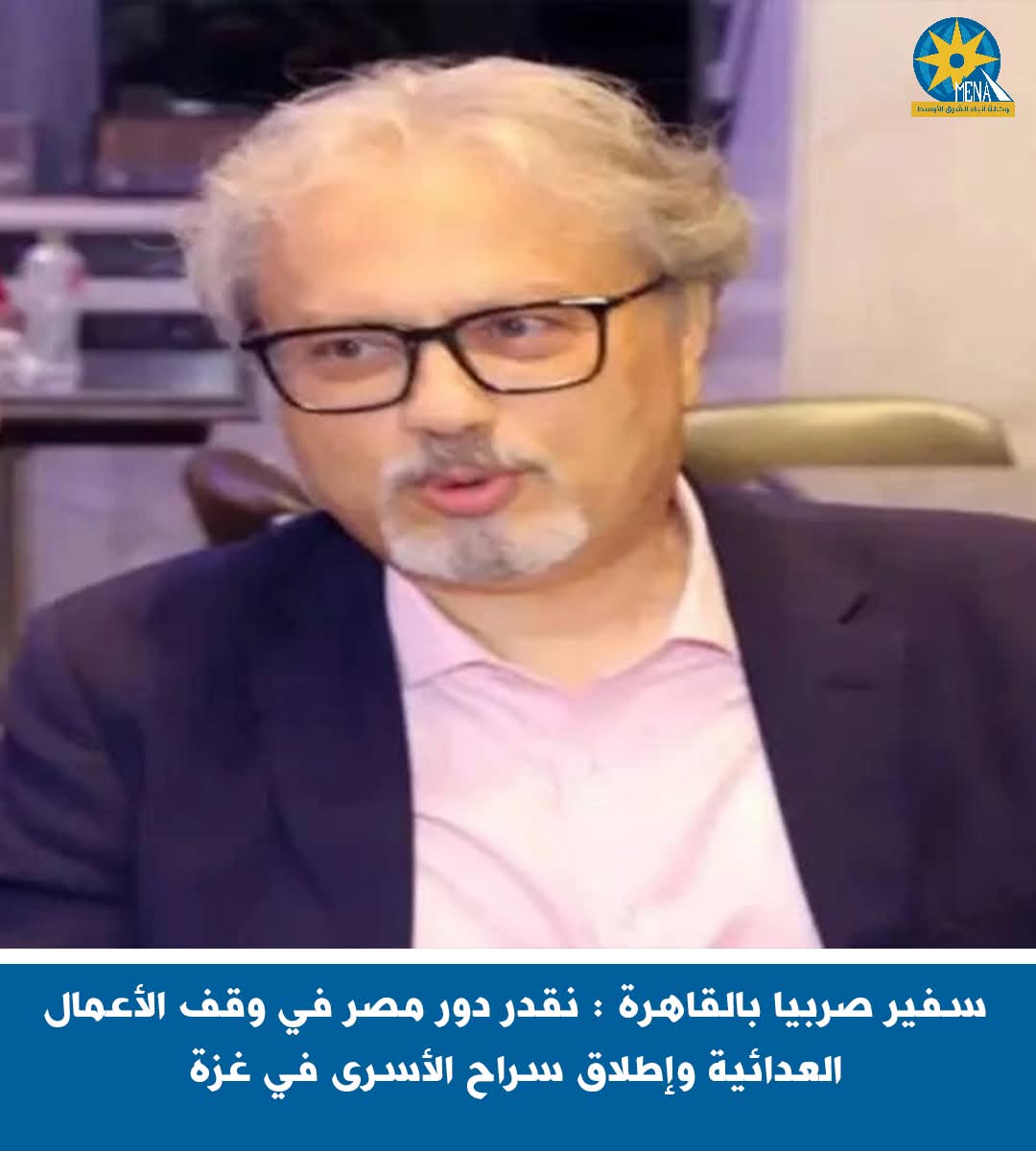 سفير صربيا: نقدر دور مصر فى إنهاء "الأعمال العدائية" بغزة