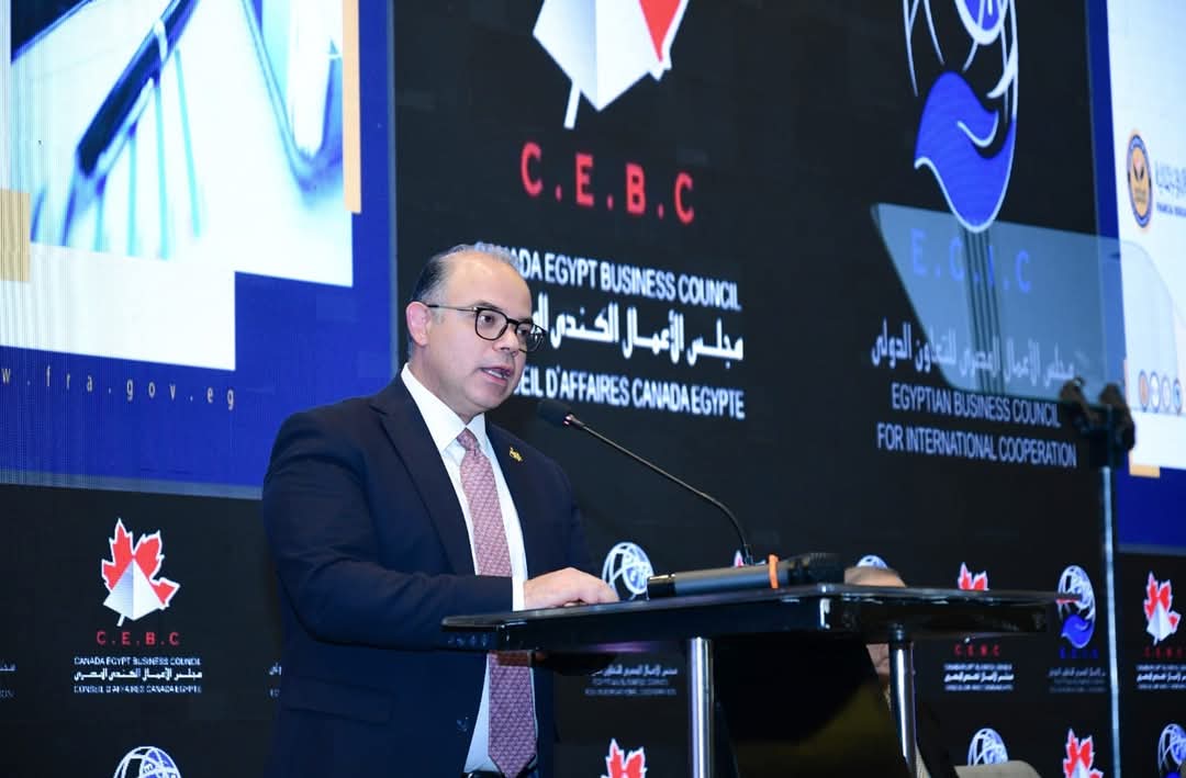 فريد:التحول الرقمي والاستدامة محاور رئيسية لتنمية الأسواق المالية غير المصرفية