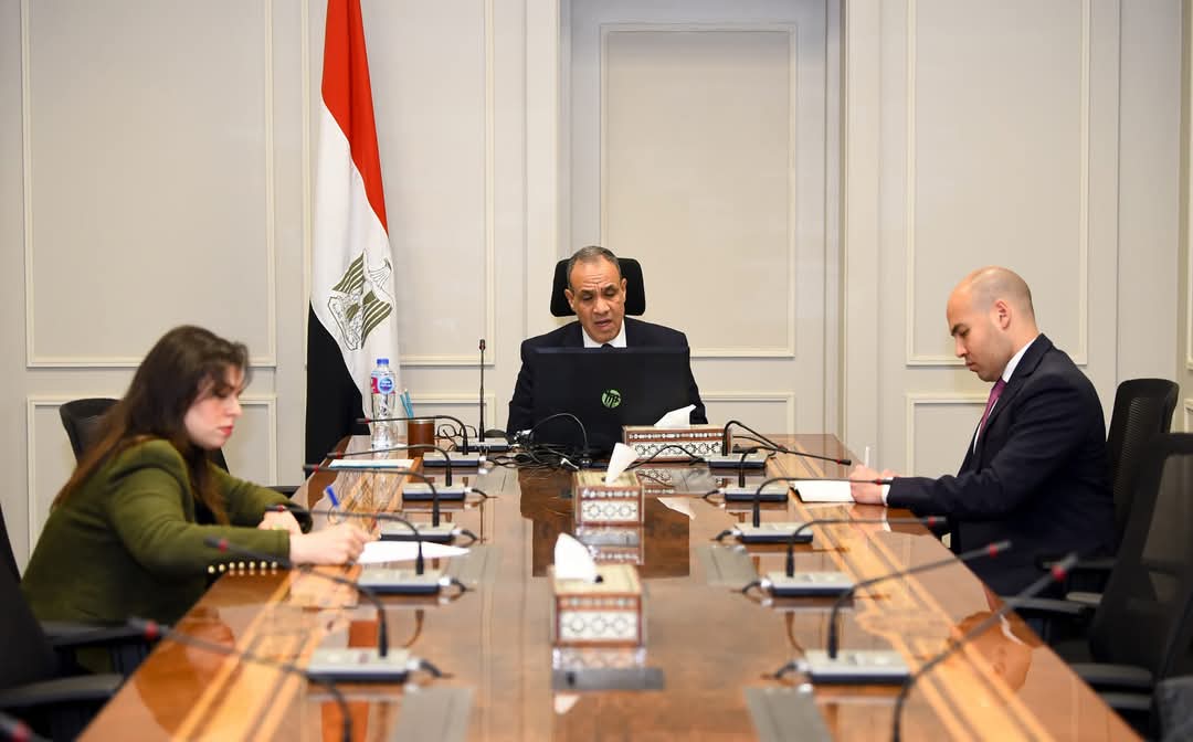 وزير الخارجية يشارك فى اللقاء الافتراضى مع الجالية المصرية بفرنسا