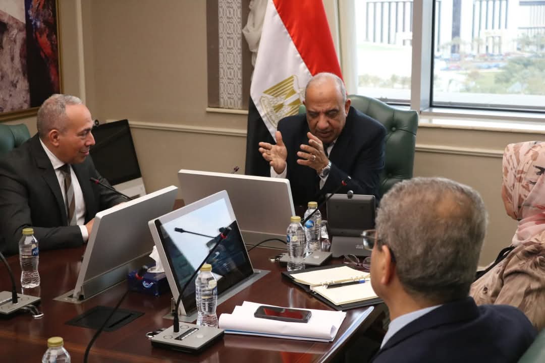 وزير الكهرباء يبحث مع مجموعة "جيزة للأنظمة" التعاون فى التحول الرقمى