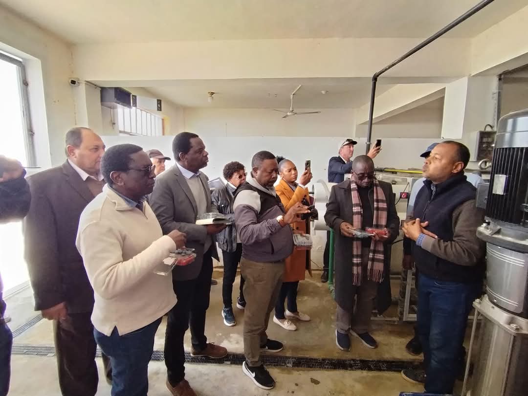 وزيرا الثروة الحيوانية والرى بزامبيا يتفقدان مزرعة تصدير الحاصلات البستانية بالنوبارية 