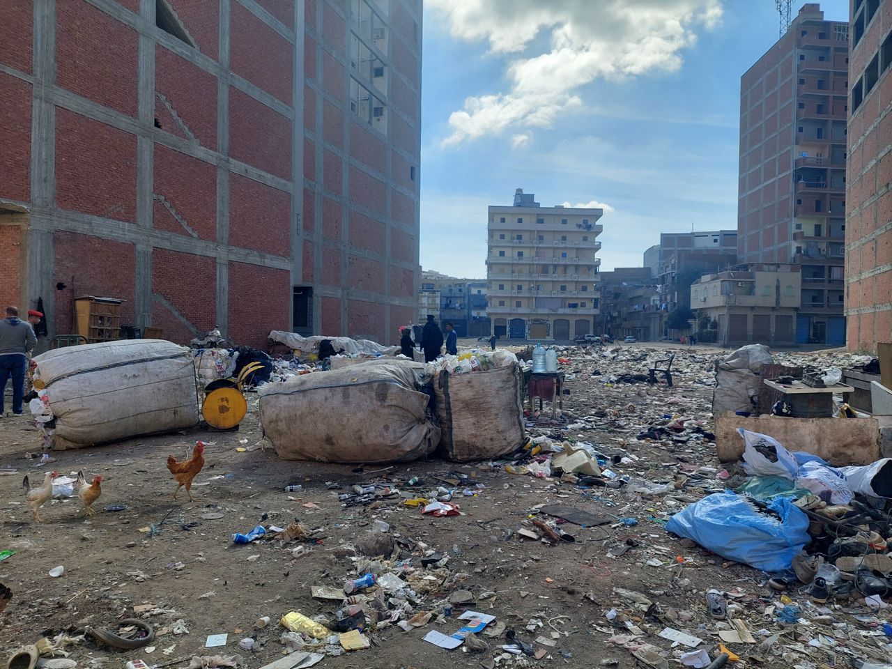 حملة موسعة بمركز ومدينة دمنهور .. رفع 250 طن مخلفات