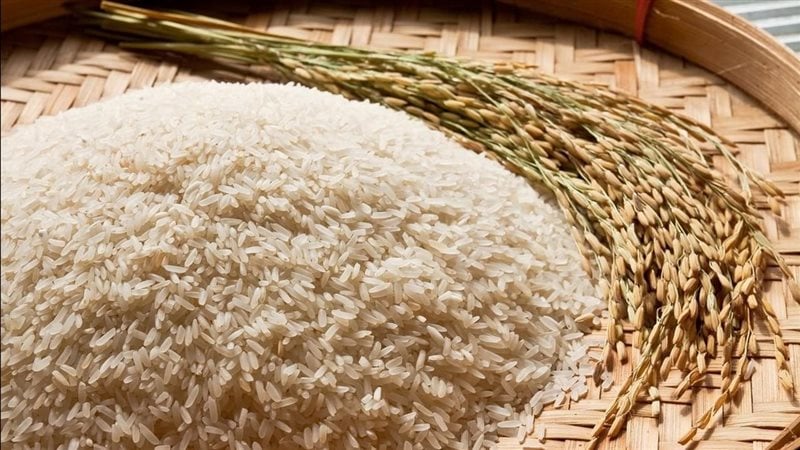 كام سعر طن الأرز الشعير اليوم