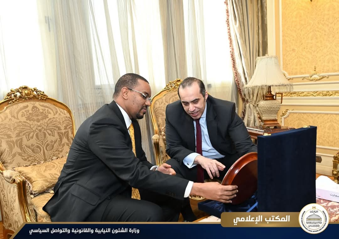 وزير الشئون النيابية يستقبل وزير الدولة للعدل والشئون الدستورية الصومالى
