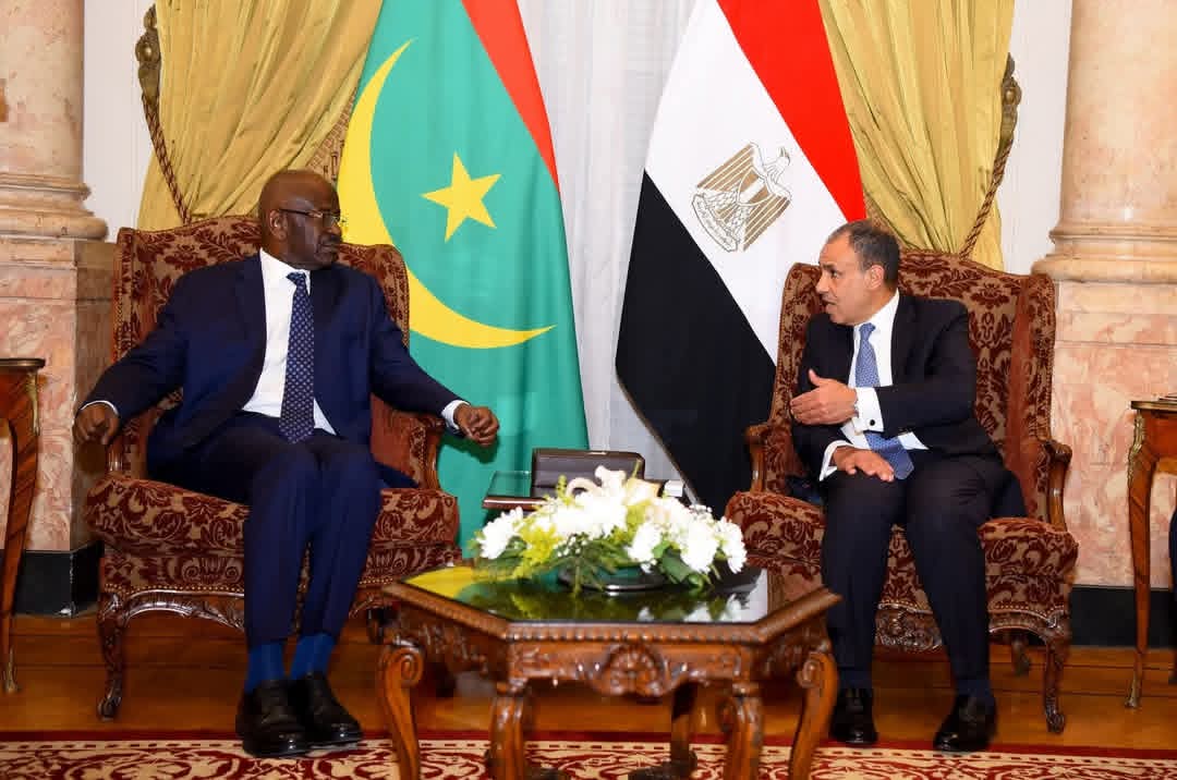 وزير الخارجية يبحث مع نظيره الموريتانى القضايا العربية والإفريقية