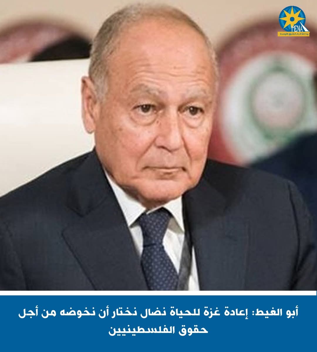 أبو الغيط: نختار خوض نضال إعادة غزة للحياة