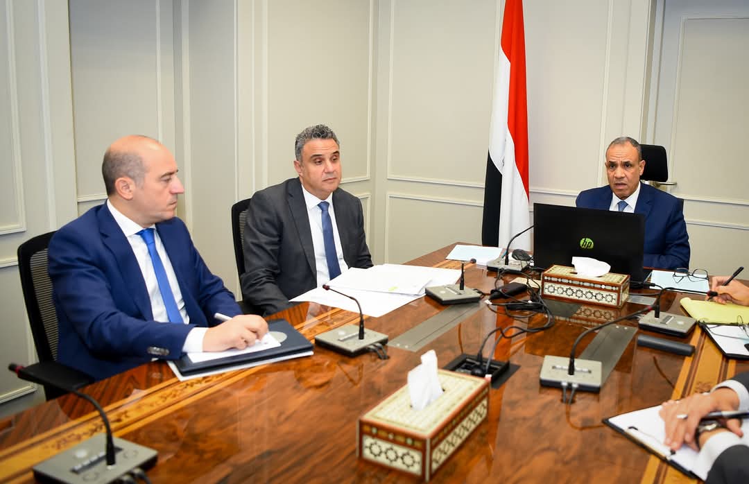 وزير الخارجية يعقد اجتماعاً افتراضياً مع سفراء مصر بالخارج