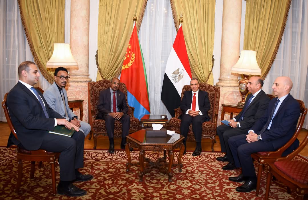 وزير الخارجية يبحث مع نظيره الإريترى..تعزيز العلاقات الثنائية