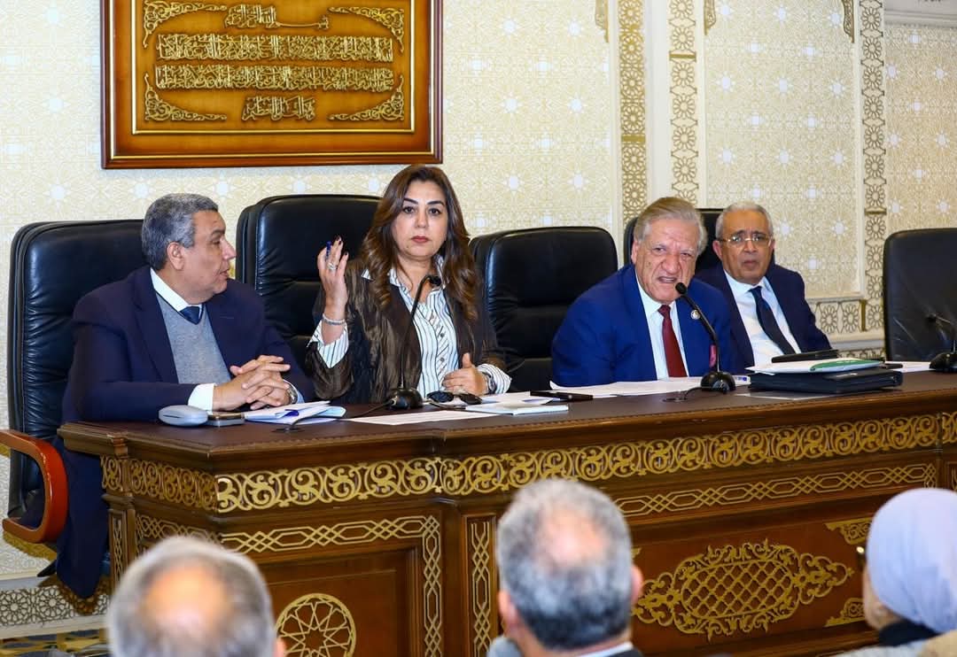 منال عوض : تخصيص 2 مليار جنيه للخطة الاستثمارية للعام المالى الماضى لدعم خطط التنمية المحلية