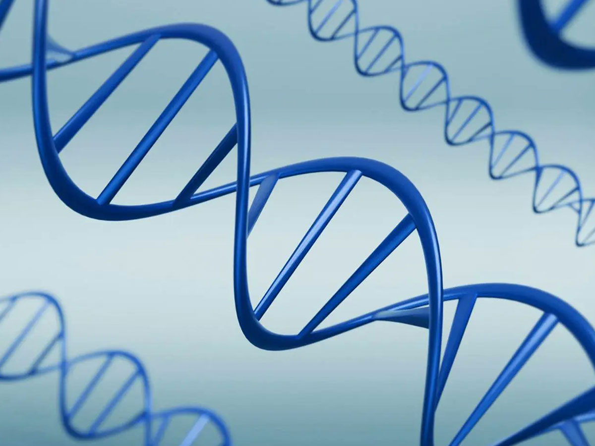 جامعة سعودية تتوصل لاكتشاف جديد .. في الخطوات الأولى لتفكك الحمض النووي DNA