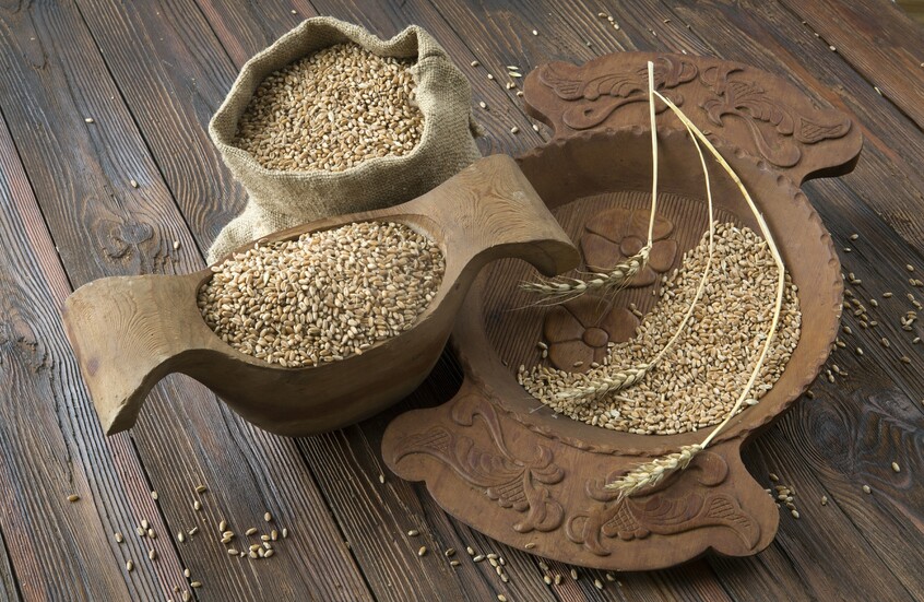 بورصة متخصصة لتجارة الحبوب بين دول مجموعة "بريكس"