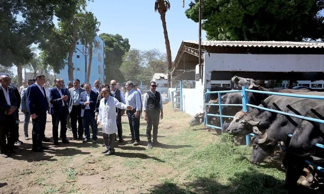 رئيس الوزراء يتفقد محطة الثروة الحيوانية بقرية "الحمام" بمركز أبنوب