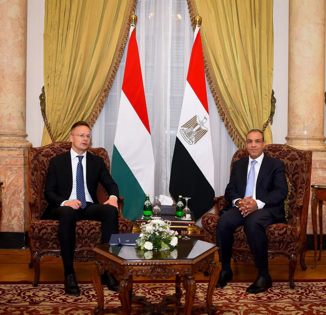 وزير الخارجية يبحث مع نظيره المجرى زيادة التبادل التجاري وتعزيز التعاون فى السياحة والطيران