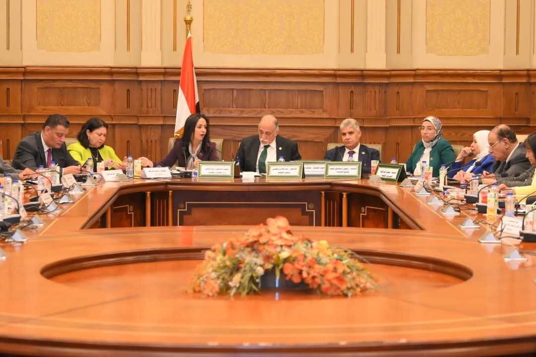 مايا مرسى تشارك فى اجتماع لجنة التضامن والأسرة  بمجلس النواب
