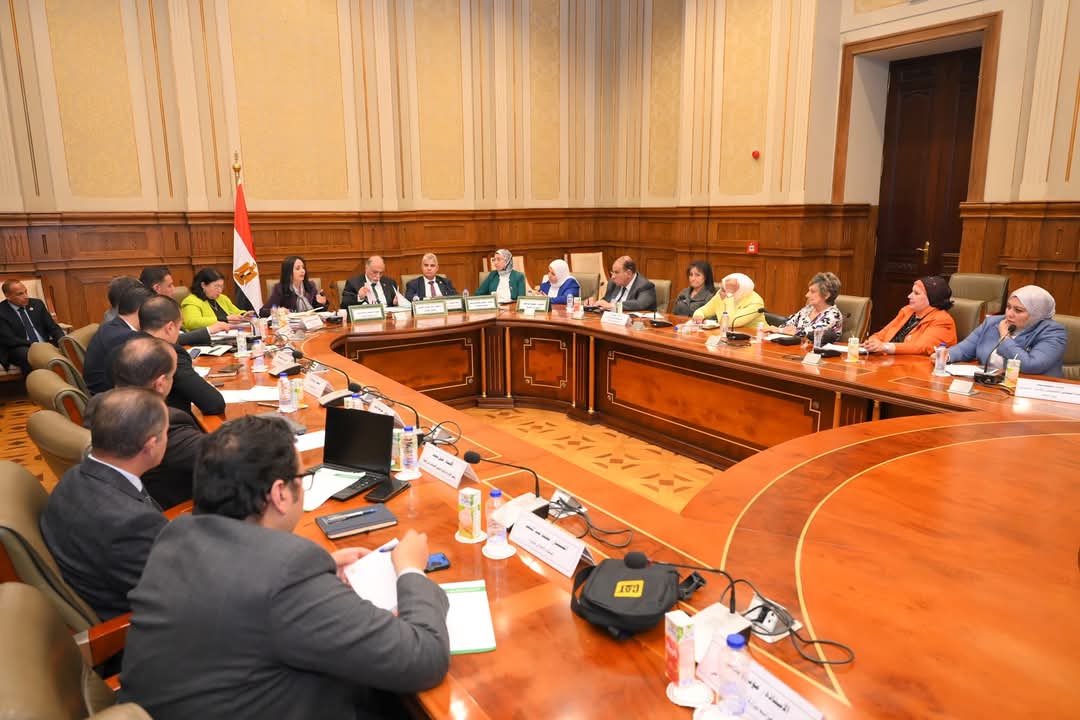 وزيرة التضامن:لجنة مشتركة مع الصحة للتيسير على ذوى الإعاقة فى استخراج بطاقة الخدمات المتكاملة