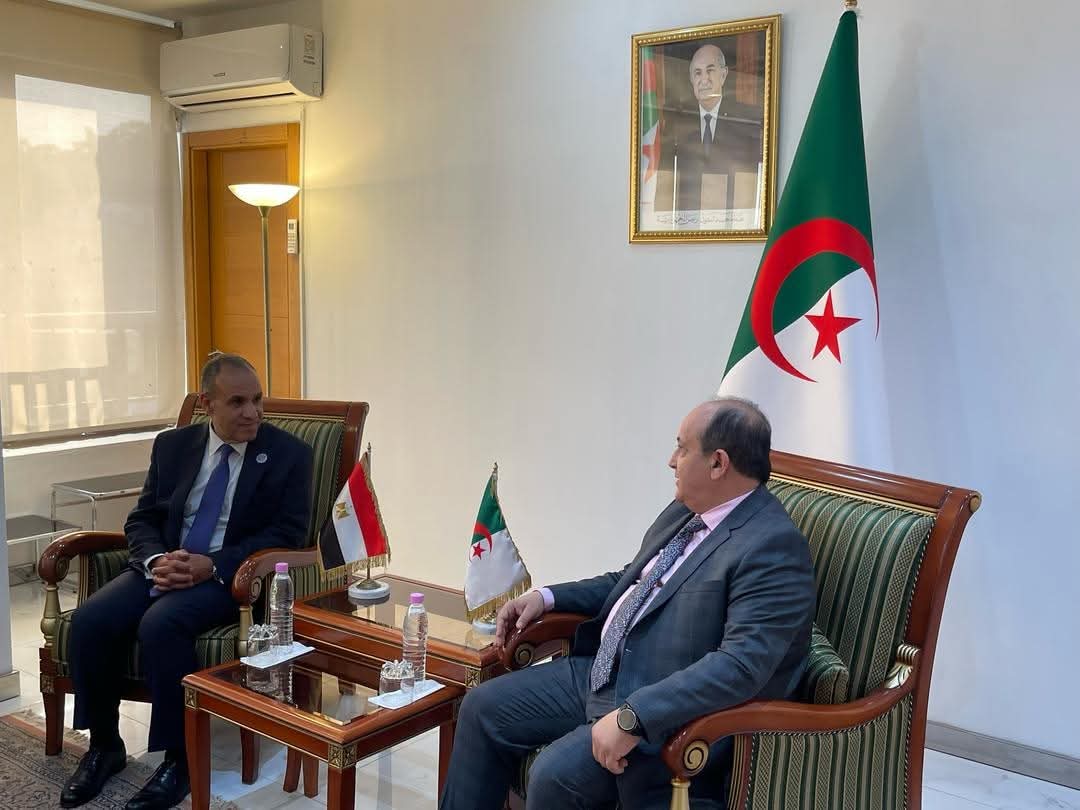 وزير الخارجية يلتقى بوزير الصناعة والإنتاج الصيدلانى الجزائرى