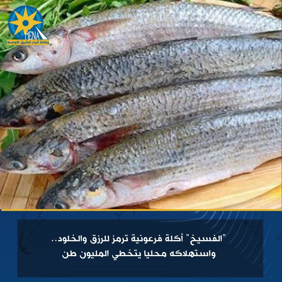 "الفسيخ" أكلة فرعونية ترمز للرزق والخلود