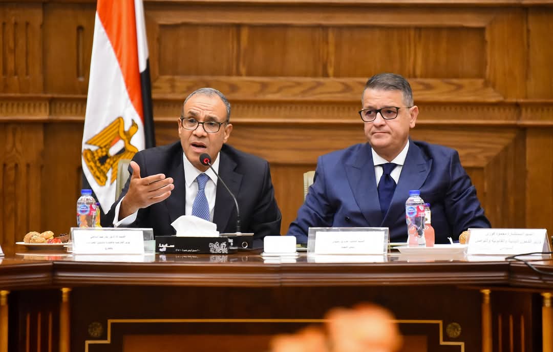 وزير الخارجبة يلتقى لجنة حقوق الإنسان بمجلس النواب