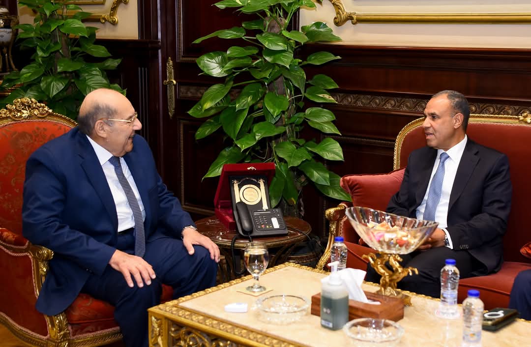 وزير الخارجية يلتقى رئيس مجلس الشيوخ