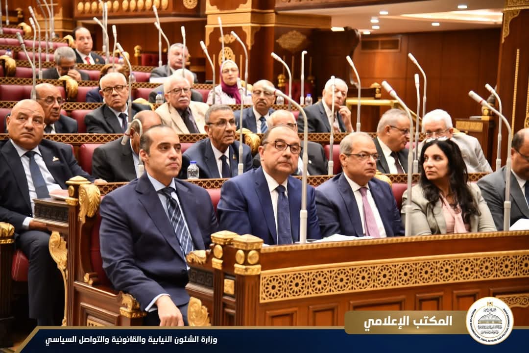مجلس الشيوخ يناقش إعادة هيكلة شركات قطاع الأعمال وإدارة وحوكمة أصولها 