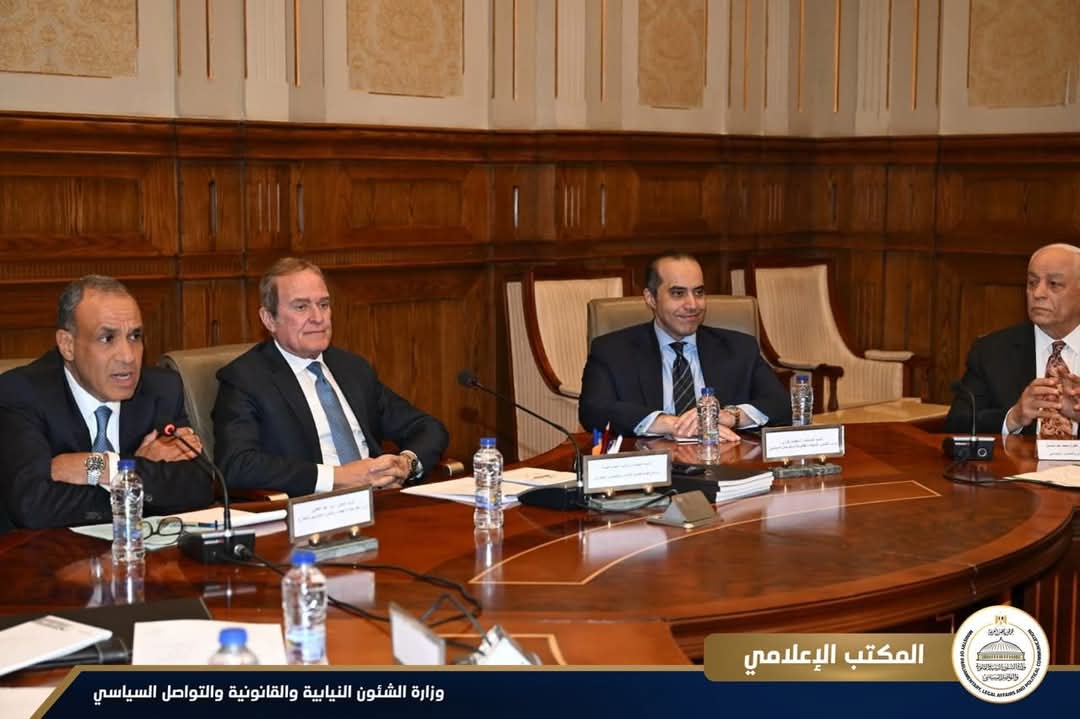 وزيرا الخارجية والشئون النيابية يشهدان اجتماع لجنة حقوق الإنسان بمجلس الشيوخ