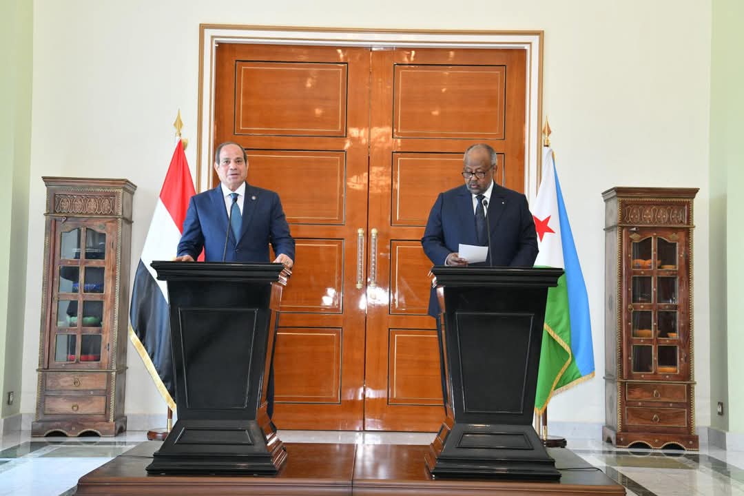 الرئيس ونظيره الجيبوتى يؤكدان رفضهما تهديد أمن وحرية الملاحة فى البحر الأحمر