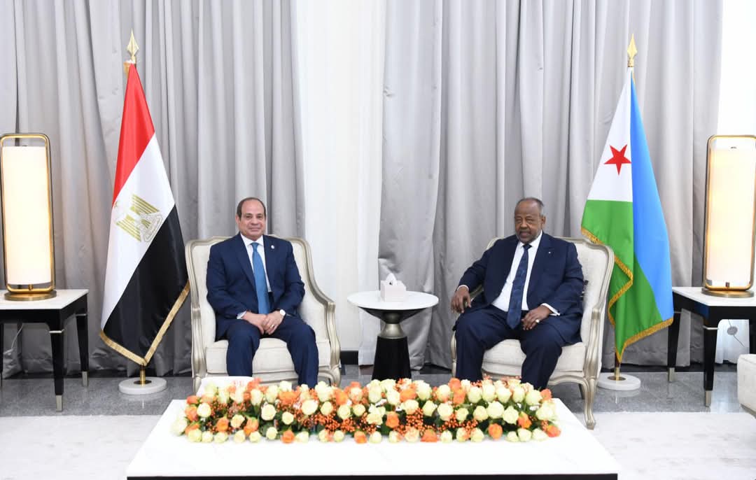 الرئيس يعلن تأسيس "مجلس الأعمال المصرى الجيبوتى المشترك"