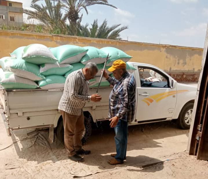 محافظ البحيرة : توريد 9203 طن قمح محلي إلى الشون والصوامع 