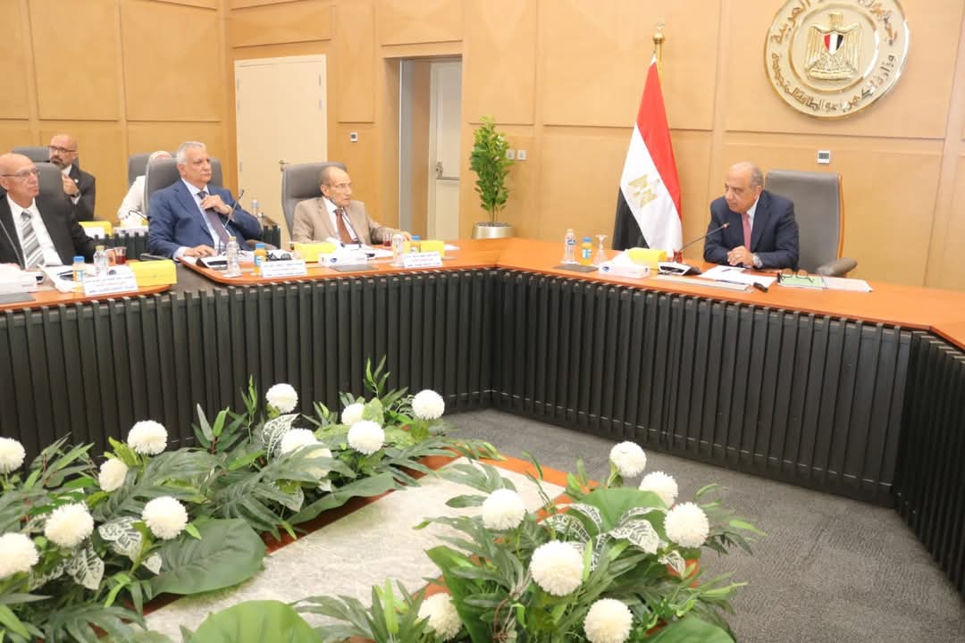 إقرار القوائم المالية الافتتاحية..للشركة القابضة لكهرباء مصر والمصرية لنقل الكهرباء