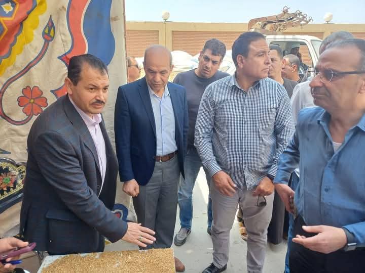موسم واعد يبدأ بقوة: الفيوم تستقبل أكثر من 70 ألف طن قمح في أول يوم توريد