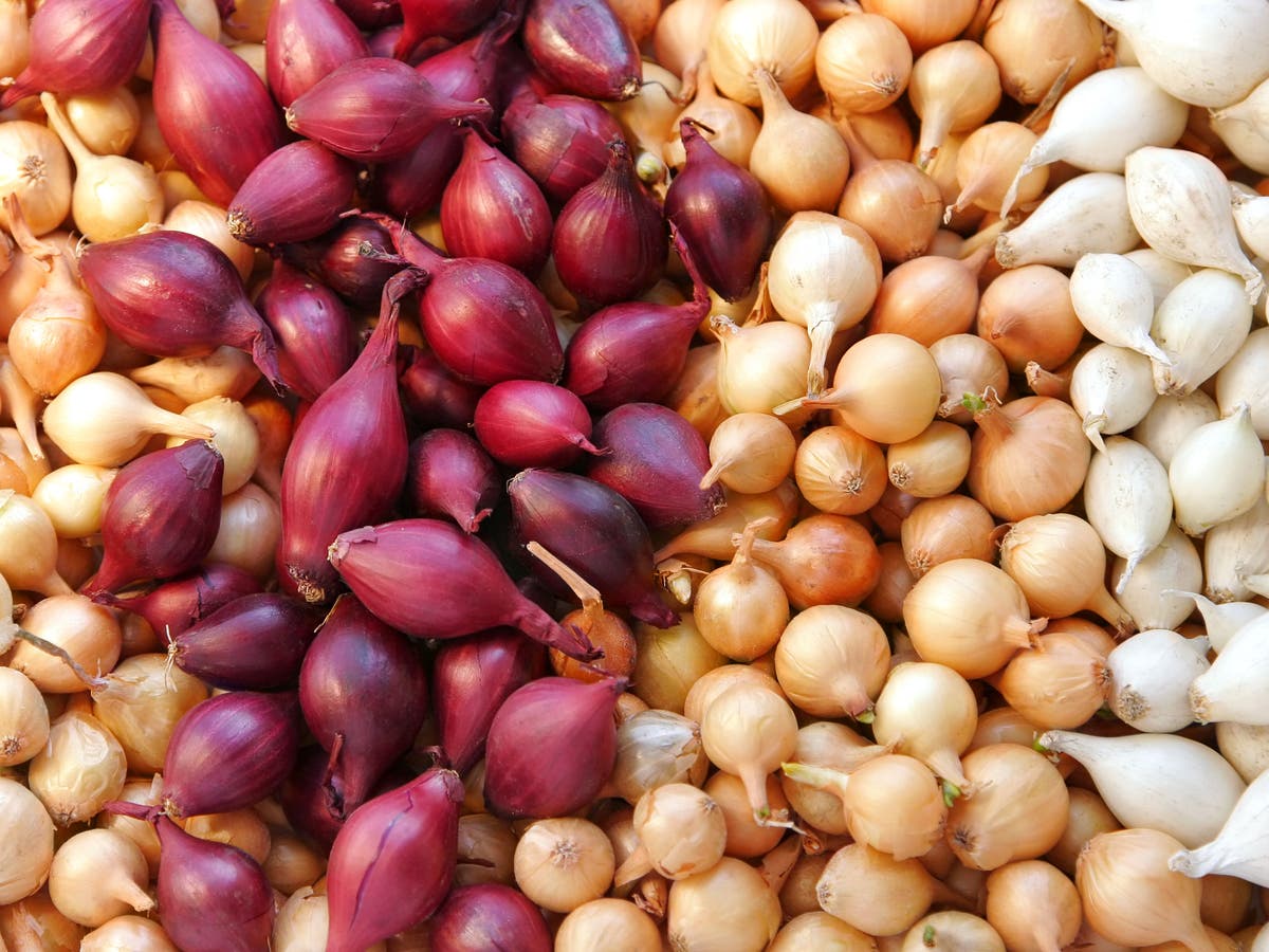 لماذا أوقفت السعودية استيراد البصل المصرى ؟