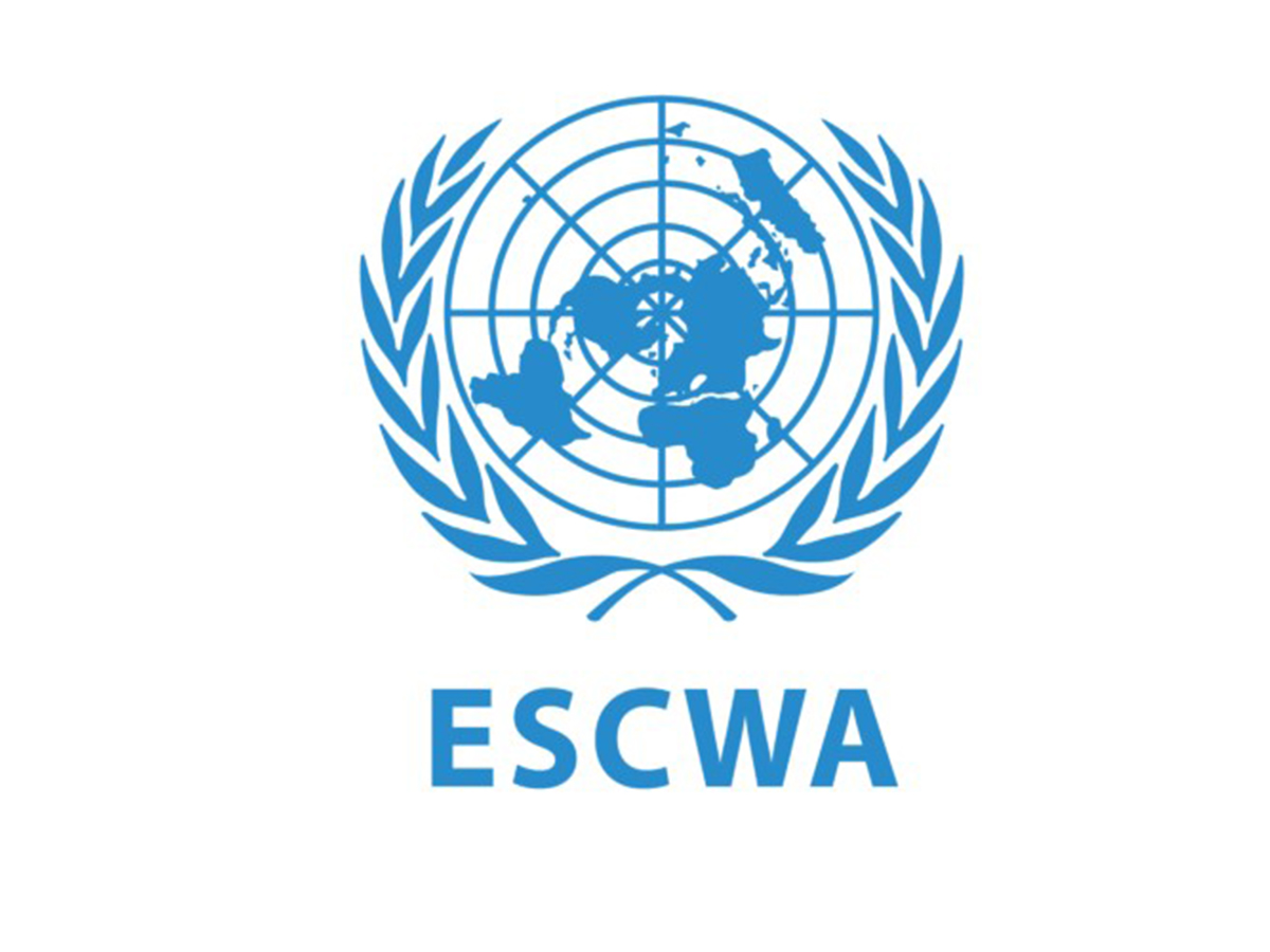 «الإسكوا» تحذر من هشاشة النظم الغذائية .. في الدول العربية - الخبر لايف