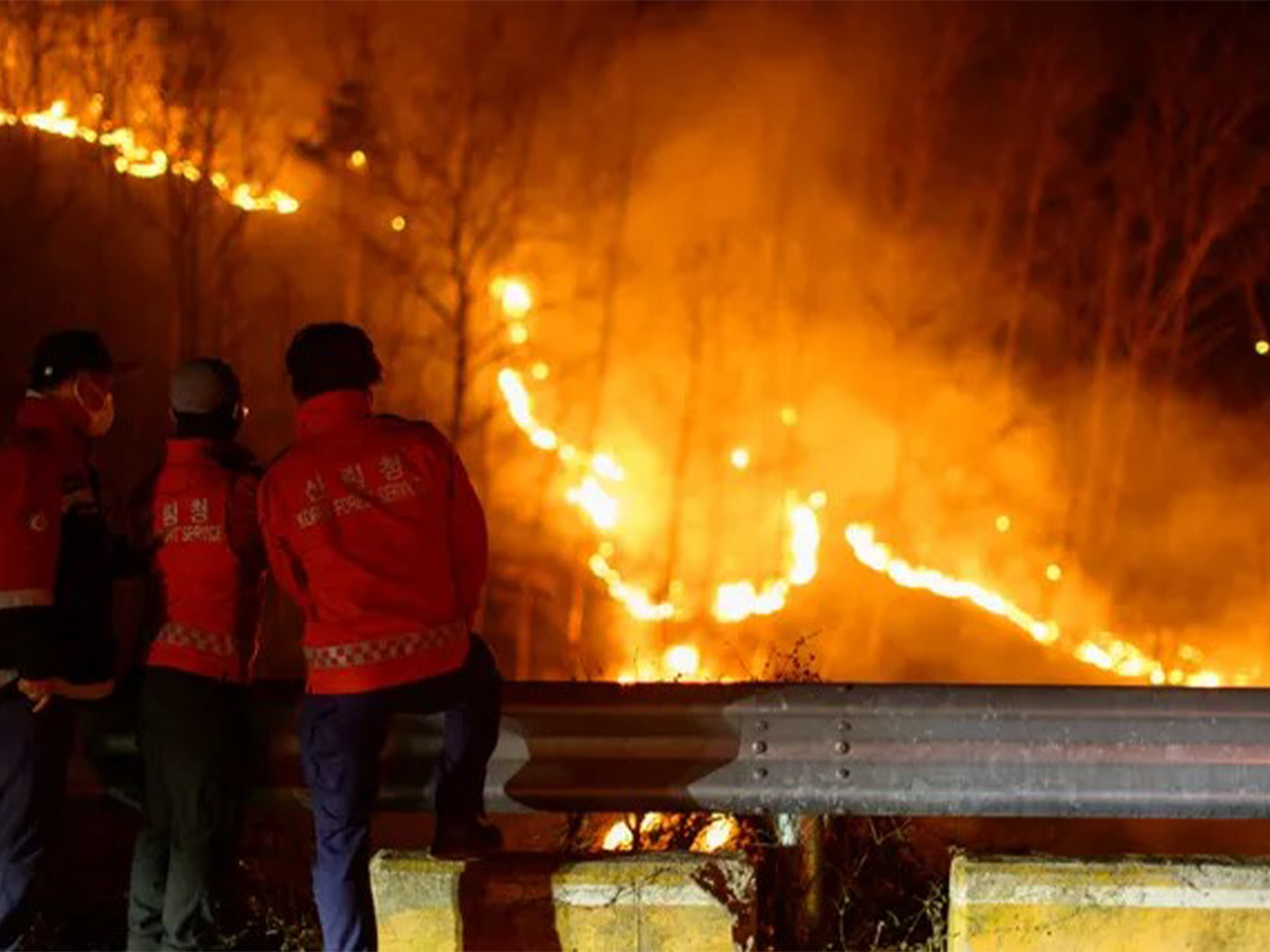 السيطرة على حريق الغابات .. في كوريا الجنوبية - الخبر لايف