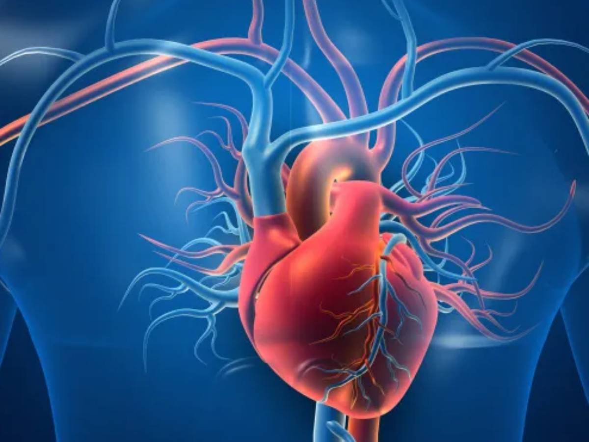 دراسة: قصور القلب .. يسرّع شيخوخة الدماغ