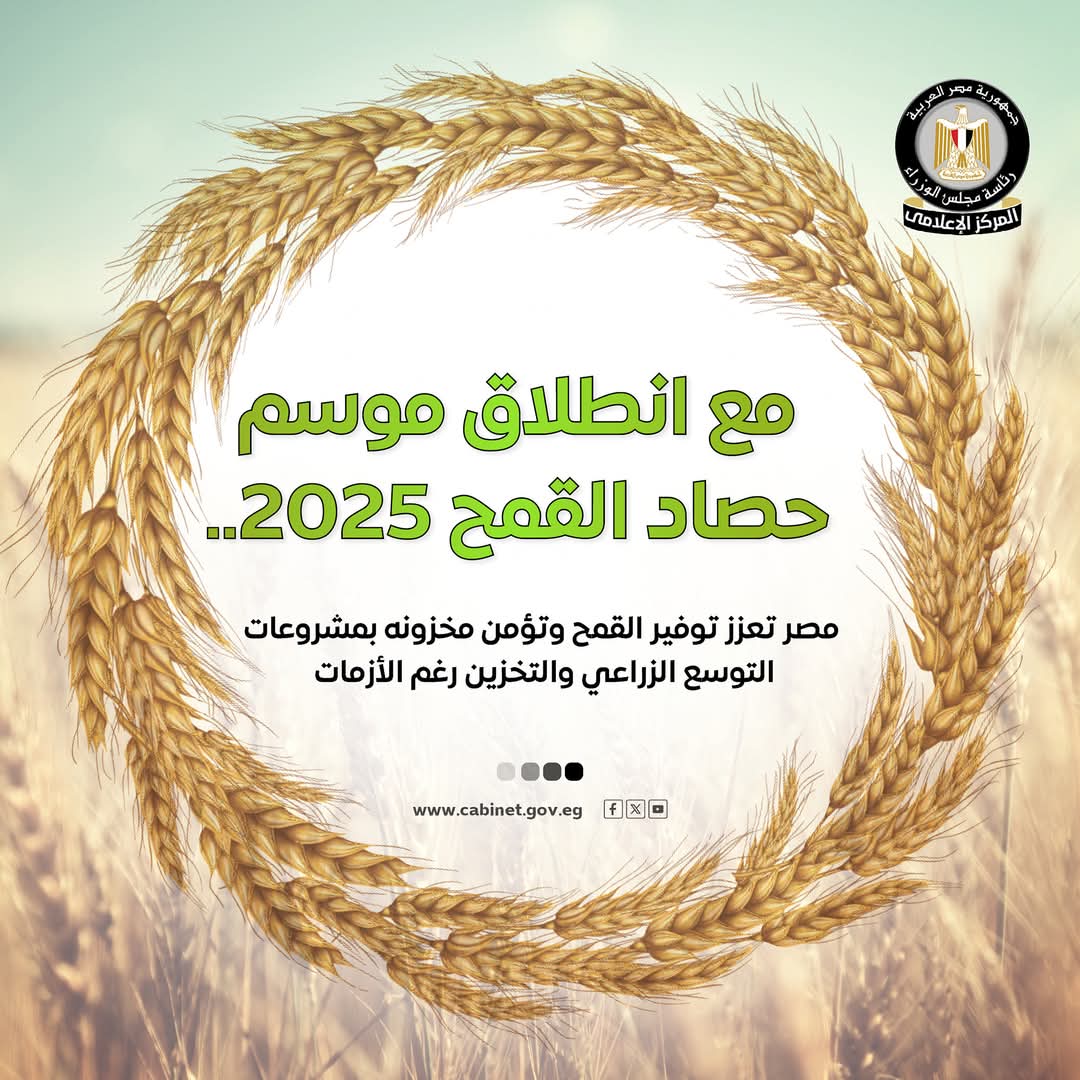 مجلس الوزراء:دعم غير مسبوق للمزارعين فى موسم توريد القمح 2025