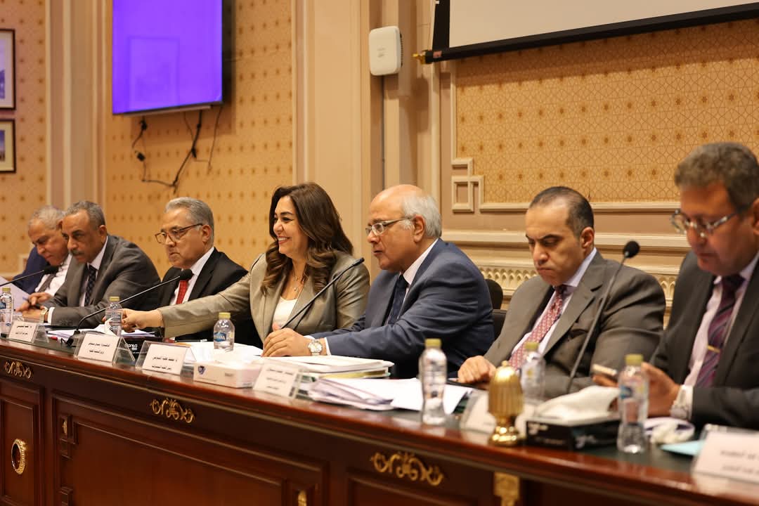 وزيرة التنمية المحلية تشرح التدابير الحكومية لإخلاء المستأجرين