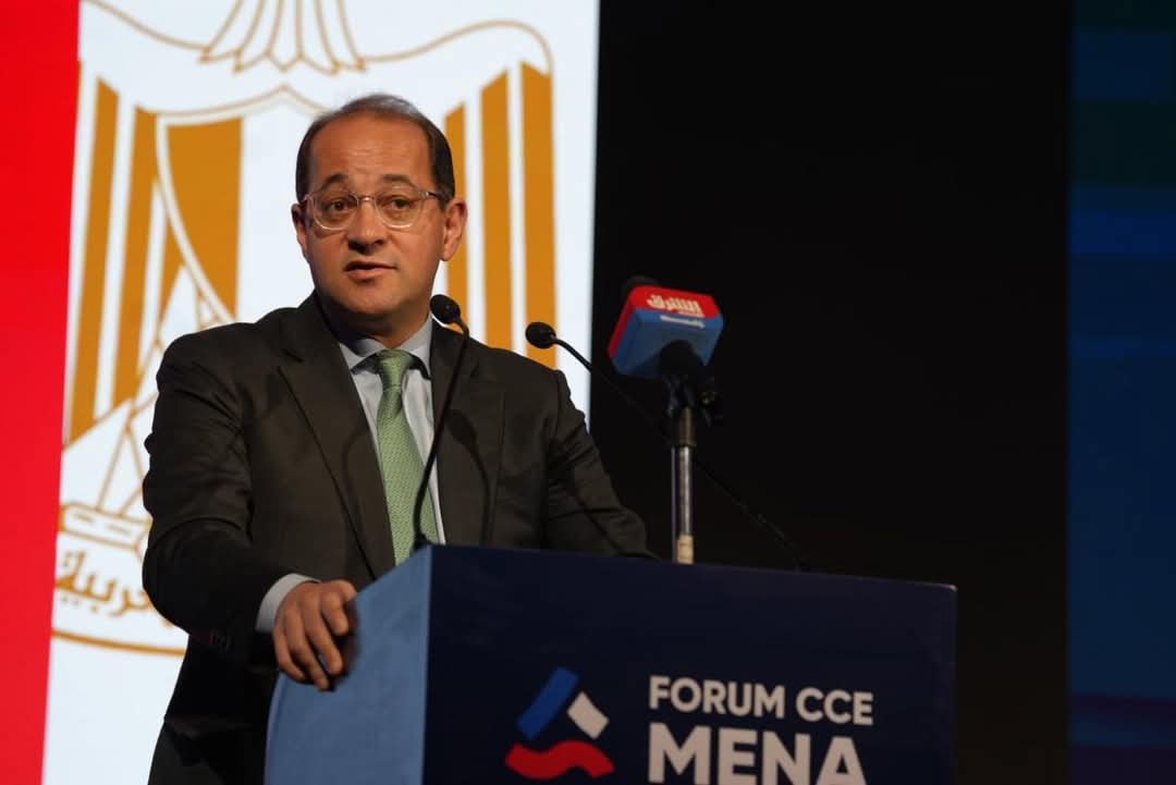 وزير المالية..لممثلى كبرى الشركات الفرنسية : الاقتصاد المصرى يتحرك بخطى جيدة