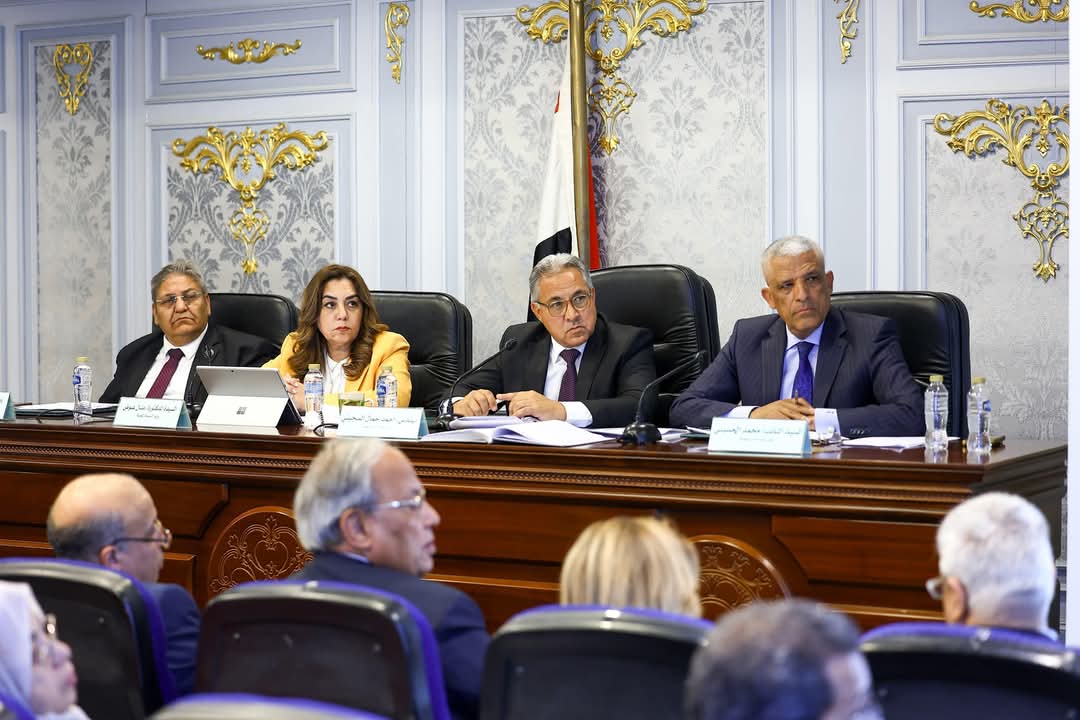 وزيرة التنمية المحلية:دعم المشروعات البيئية والتحول الرقمي ورفع قدرات العاملين