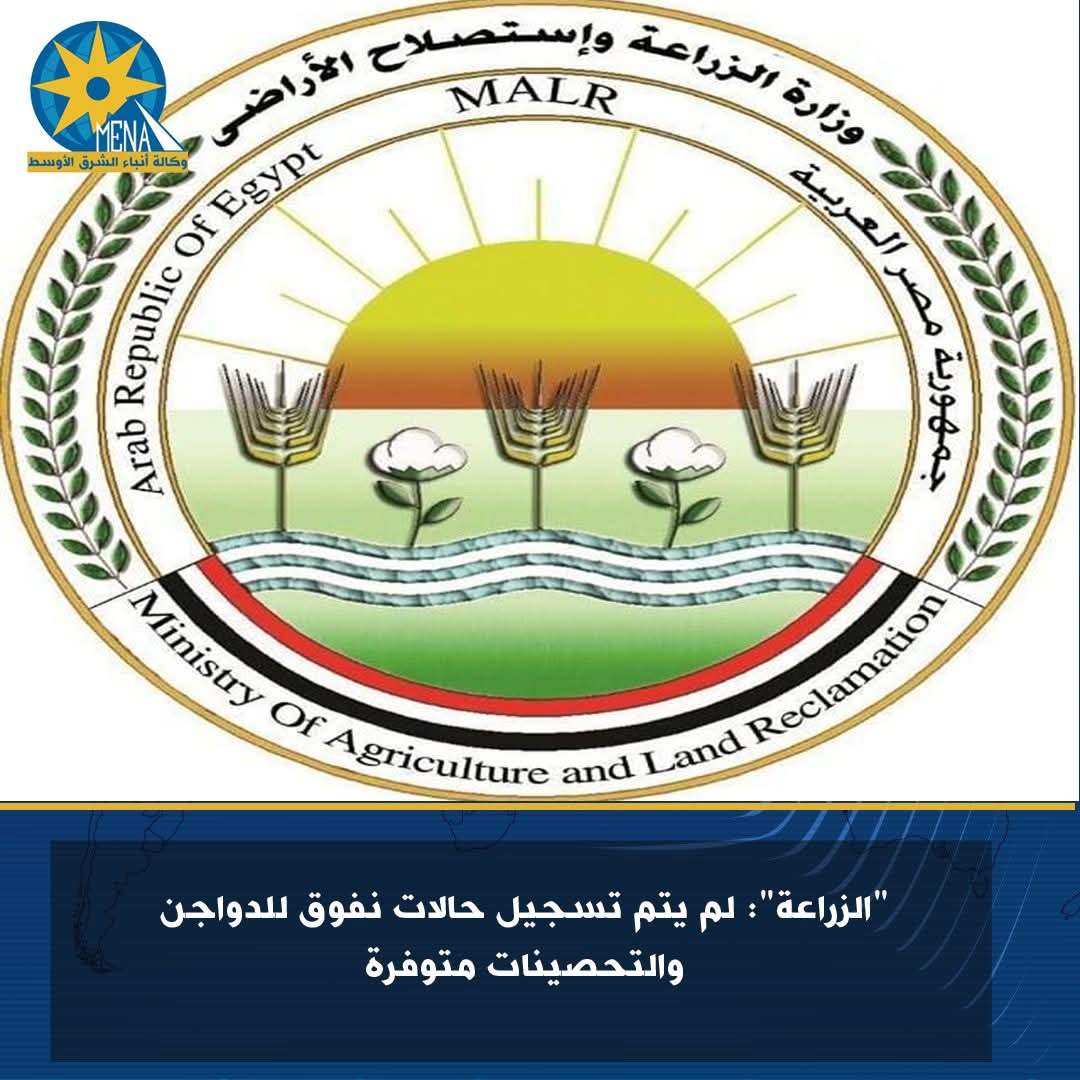 "الزراعة": لم يتم تسجيل حالات نفوق للدواجن.. والتحصينات متوفرة