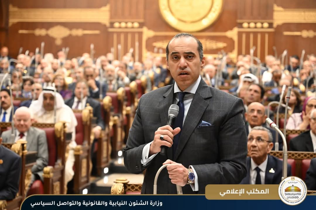قانون الانتخابات..من حق المرشح اختيار الدائرة الانتخابية
