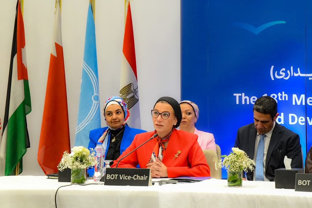 ياسمين فؤاد: إمكانيات الدول العربية واعدة لتحويل التحديات البيئيّة إلى فرص 