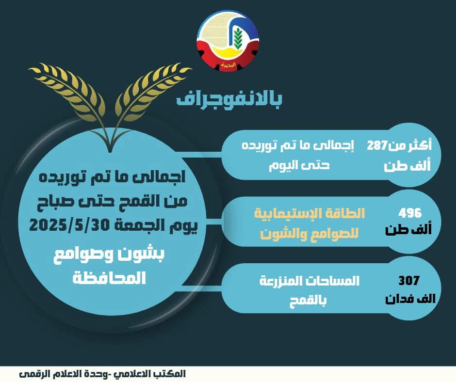 توريد أكثر من ٢٨٧ ألف طن قمح لشون وصوامع البحيرة حتى الآن
