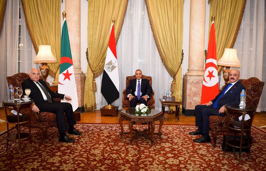 وزير الخارجية:إجراء الانتخابات الرئاسية والبرلمانية.."صمام الأمان"فى ليبيا