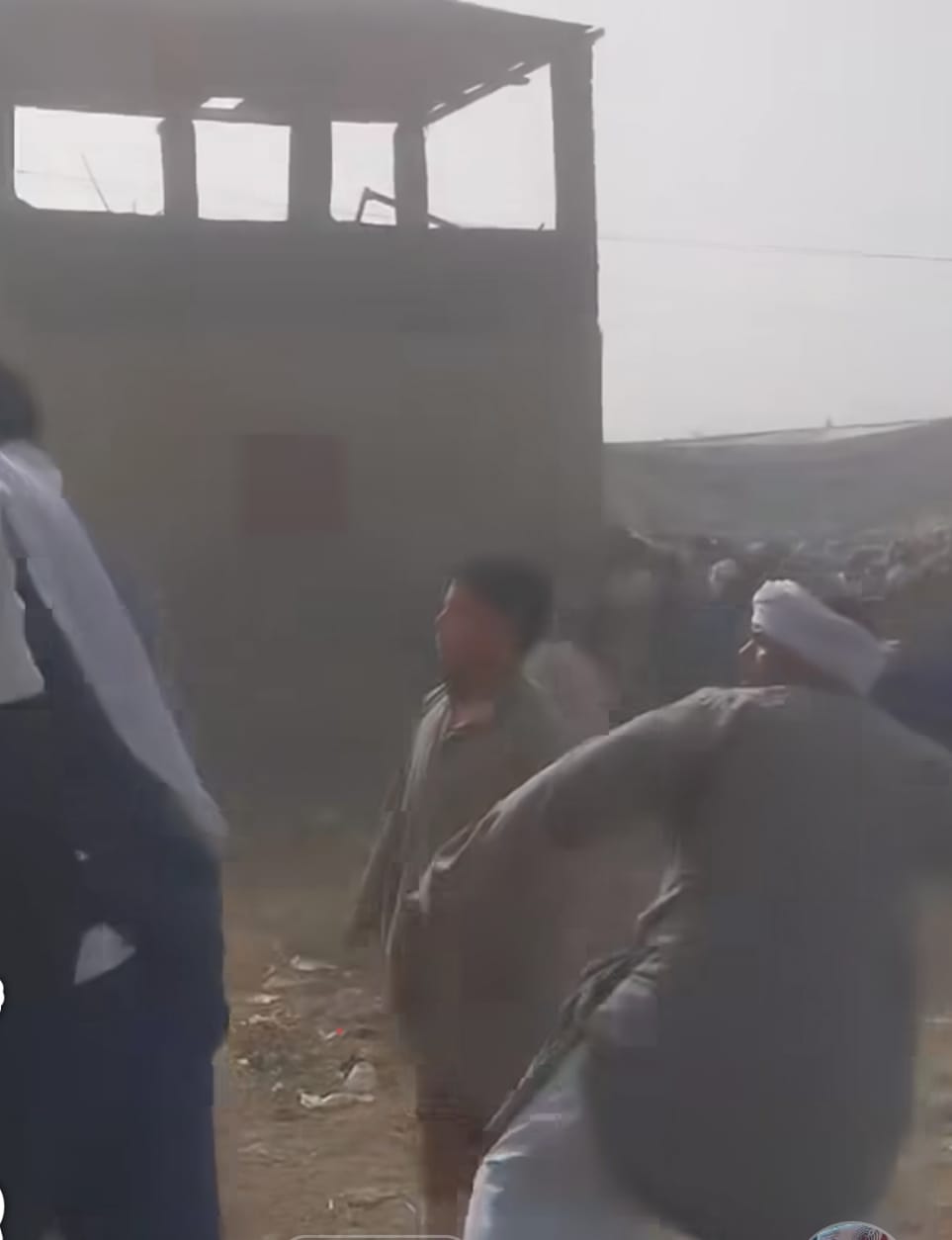 خلاف على خروف يشعل مشاجرة بالحجارة في سوق طامية.. والأمن يتدخل سريعًا