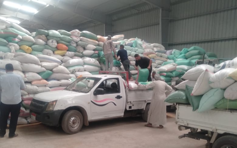 استمرار توريد القمح .. استلام أكثر من 108 ألف طن بالبحيرة